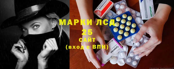ГАЛЛЮЦИНОГЕННЫЕ ГРИБЫ Беломорск