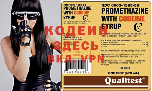 индика Баксан