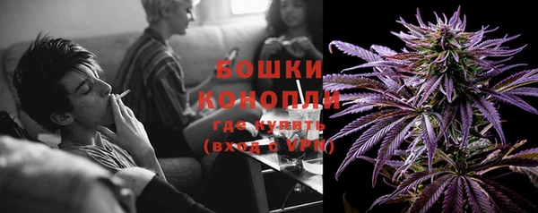 ГАЛЛЮЦИНОГЕННЫЕ ГРИБЫ Беломорск