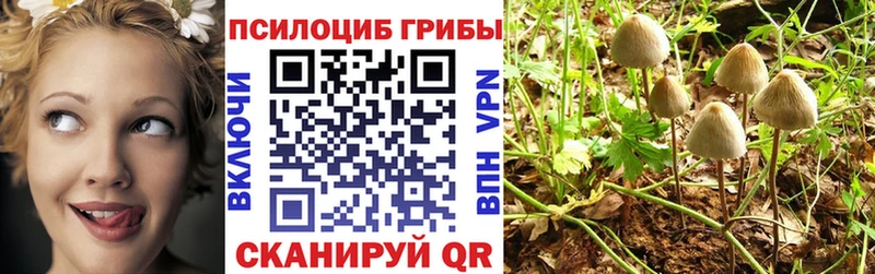 Галлюциногенные грибы мухоморы  Кстово 