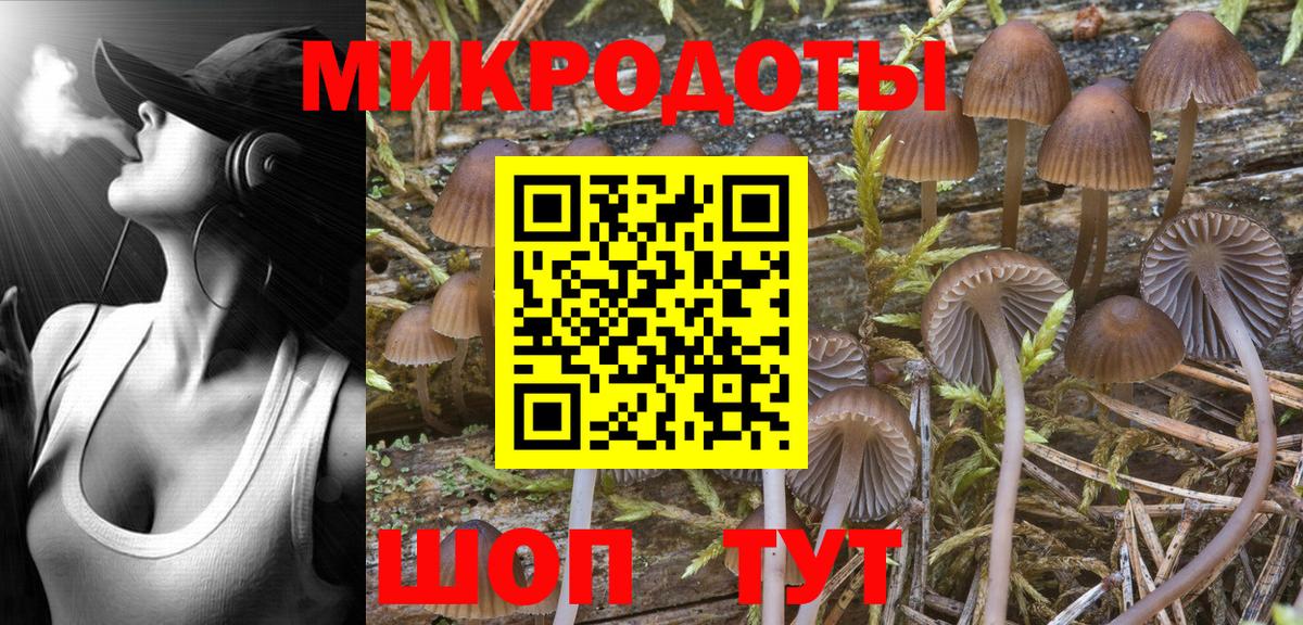 Кстово  хочу наркоту  Вход с VPN  Галлюциногенные грибы Cubensis 